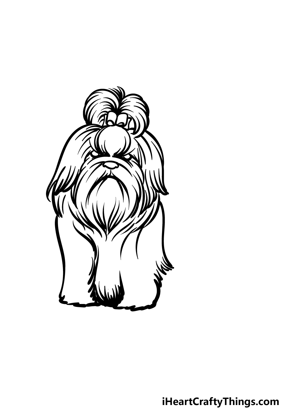 how to draw a Shih Tzu step 3
