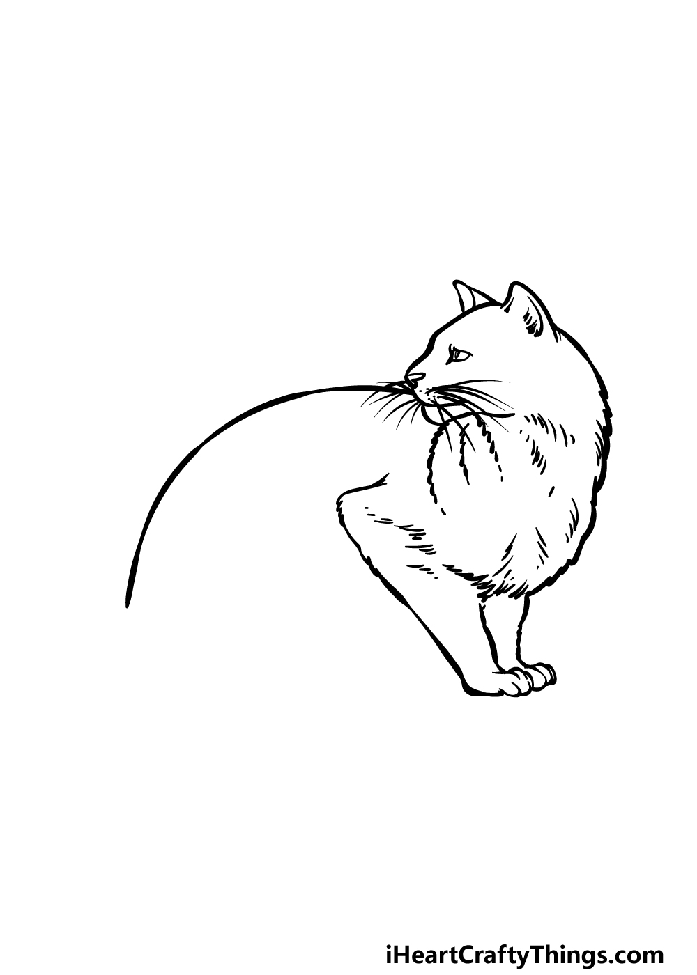 how to draw a Black Cat step 3