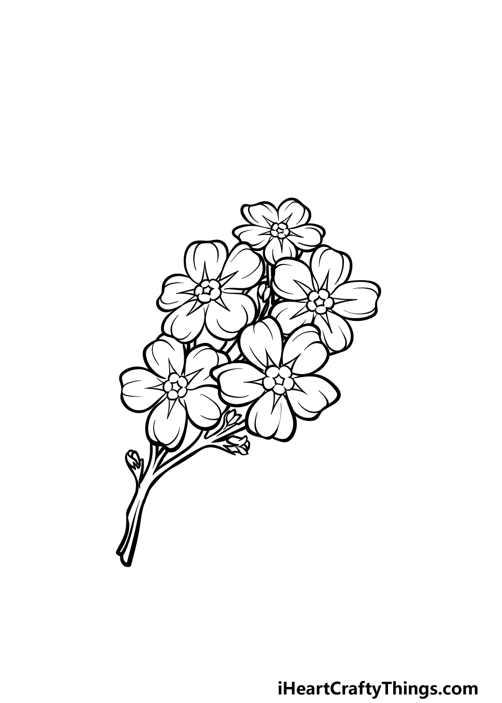 how to draw a Forget Me Not step 4