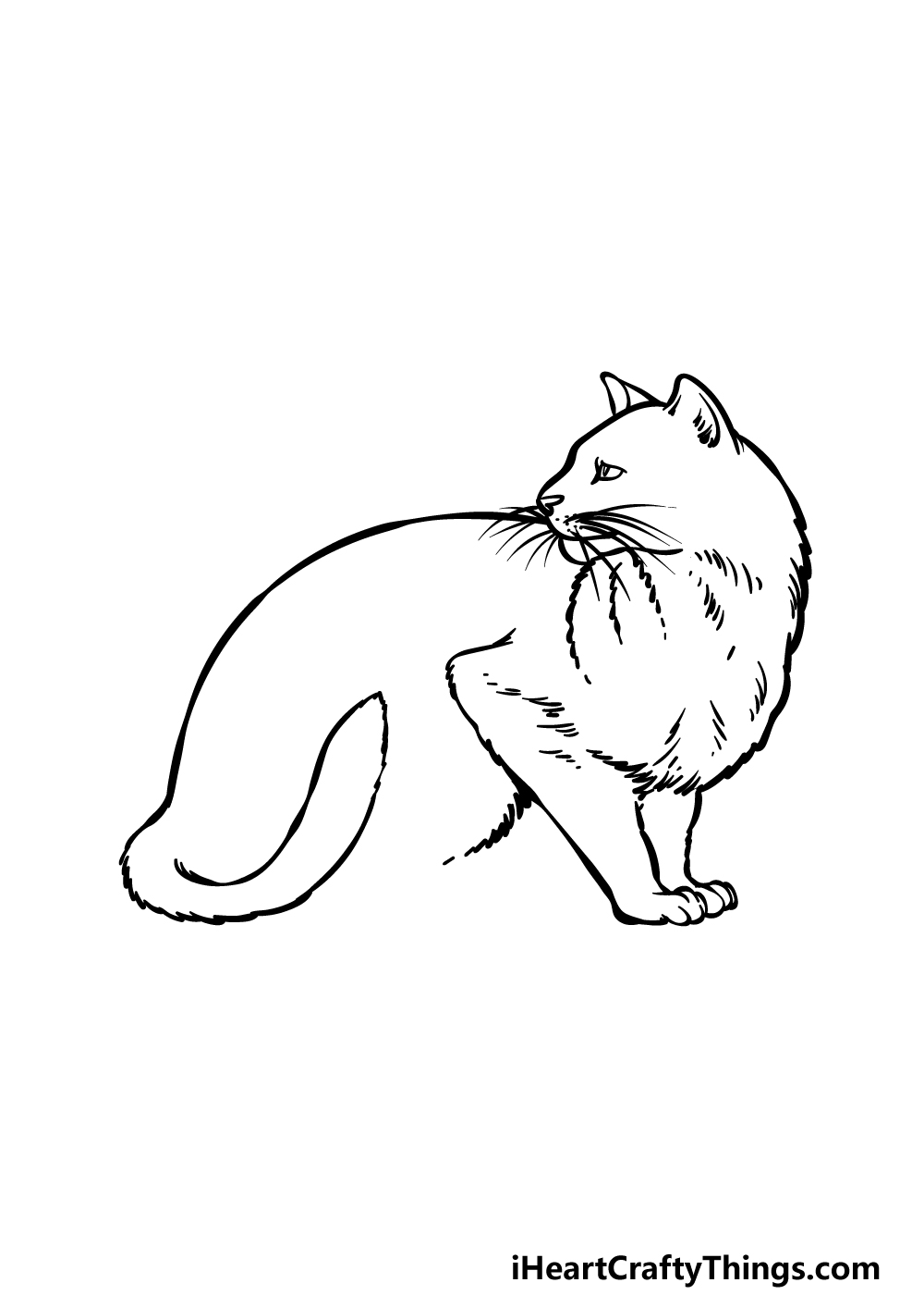 how to draw a Black Cat step 4