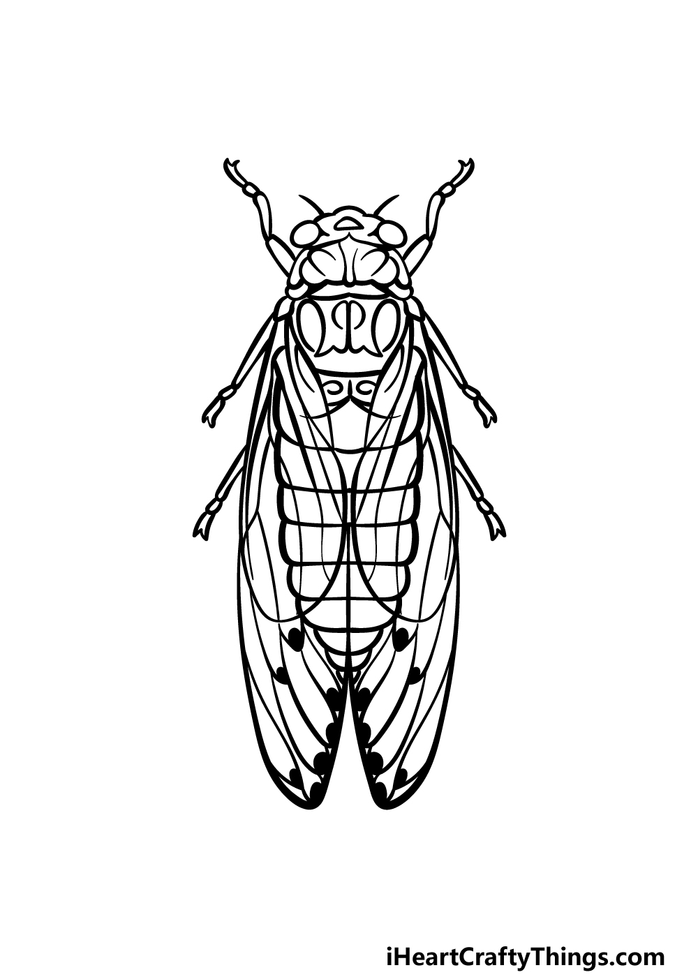 how to draw a Cicada step 5
