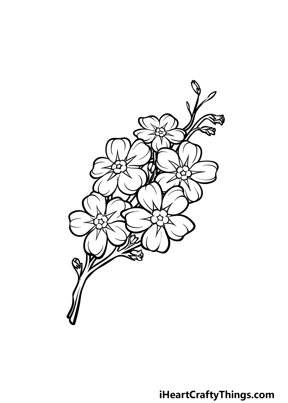 how to draw a Forget Me Not step 5