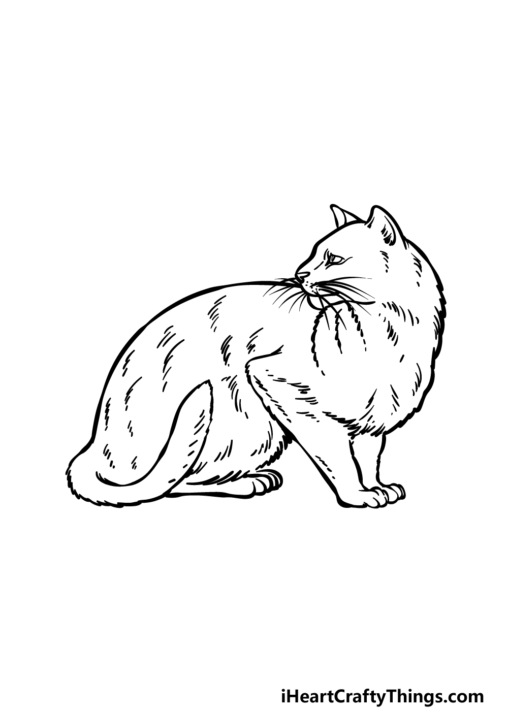 how to draw a Black Cat step 5