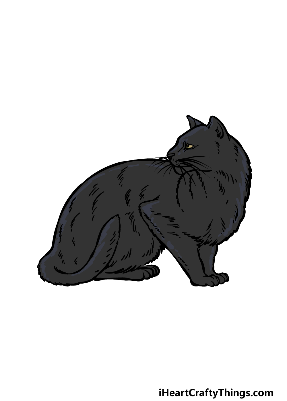 how to draw a Black Cat step 6