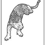Cheetah Coloring Pages free printable
