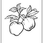 Apple Coloring Pages free printable
