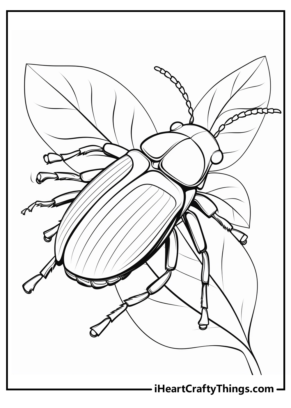 bug coloring printable free download
