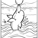 Dolphin Coloring Pages free printable