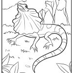 Lizard Coloring Pages free printable