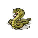 how to draw a King Cobra image