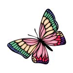 how to draw a Colorful Butterfly image
