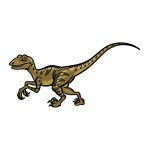 how to draw a Velociraptor image