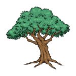 how to draw a Cartoon Tree image