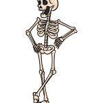 how to draw a Cartoon Skeleton image