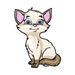 how to draw a Cartoon Cat image