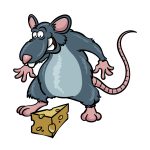 how to draw a Rat image