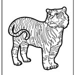 Tiger coloring pages