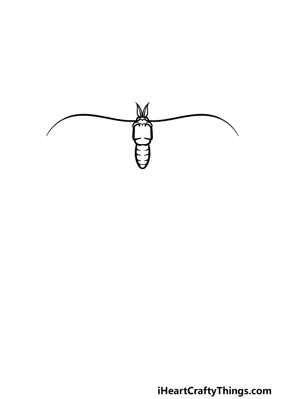 how to draw a Luna Moth step 2