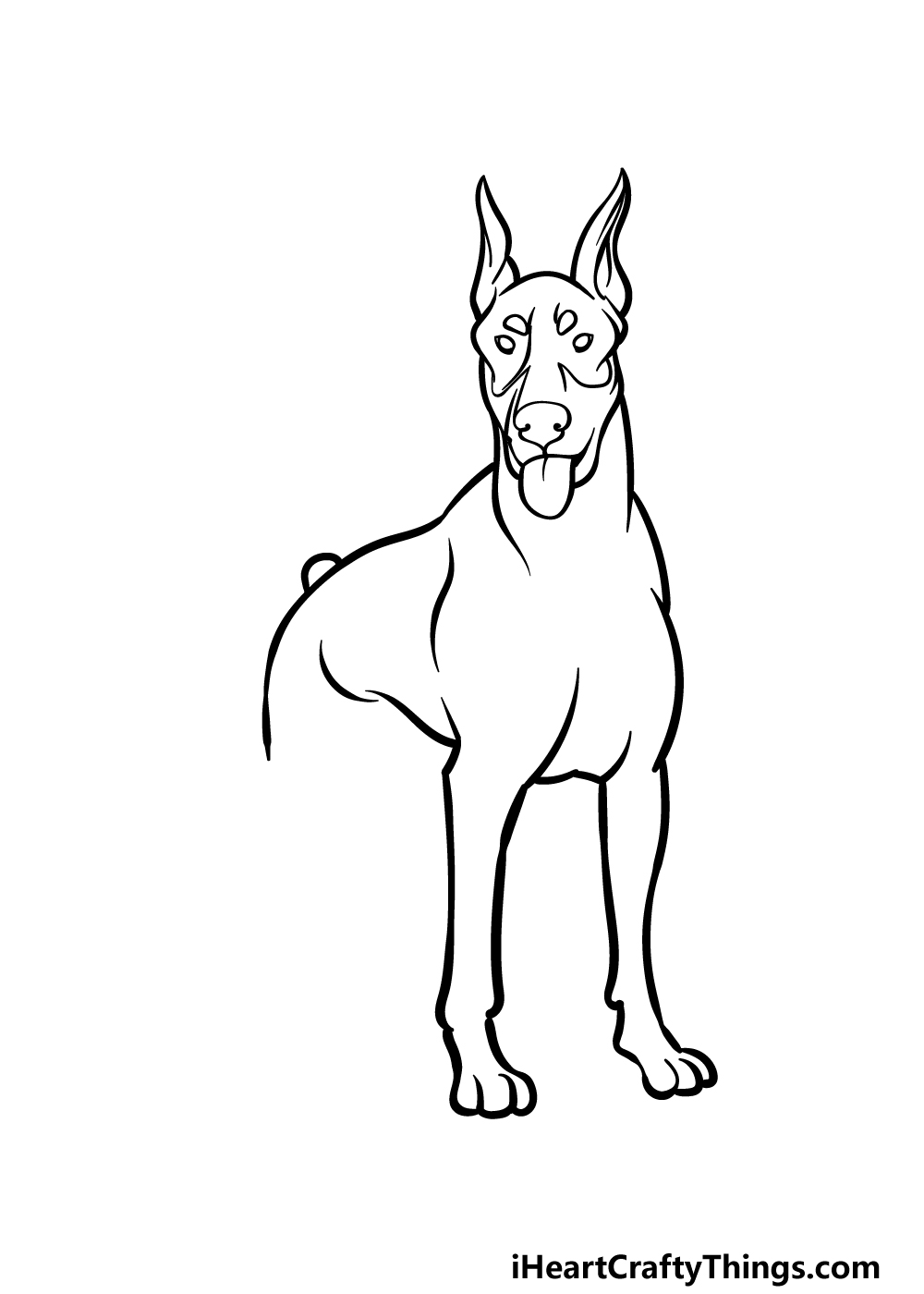 how to draw a Dobermann step 3