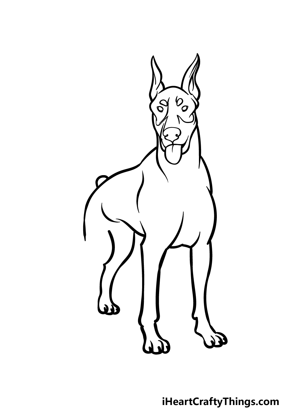 how to draw a Dobermann step 4