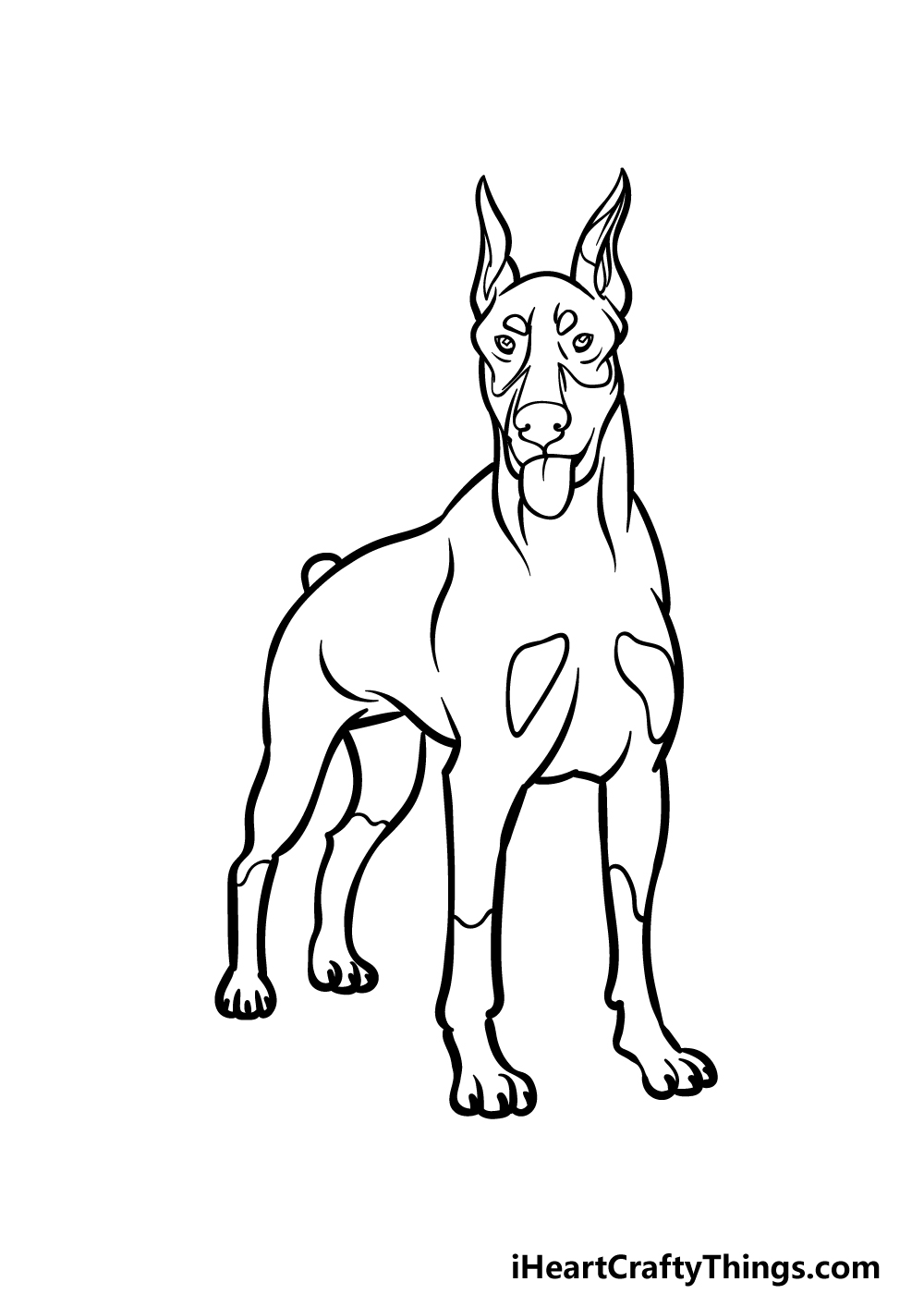 how to draw a Dobermann step 5