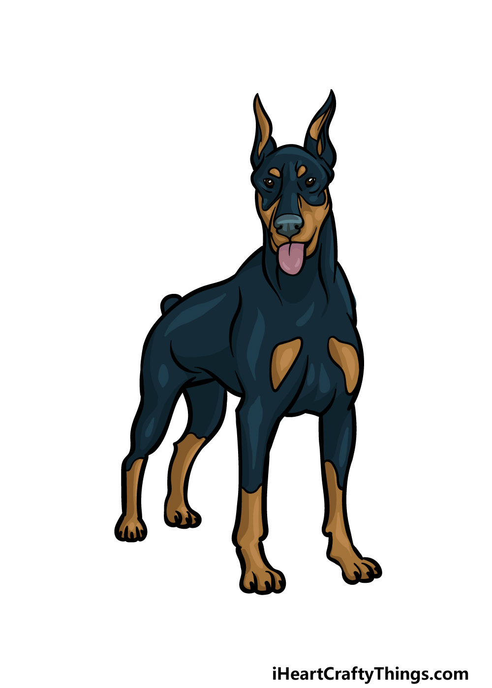 how to draw a Dobermann step 6