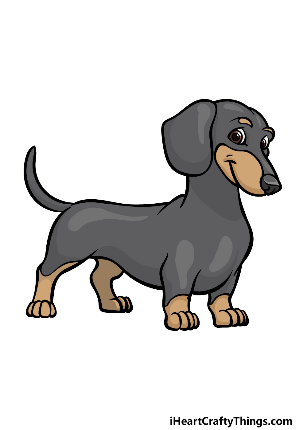 how to draw a Dachshund step 6