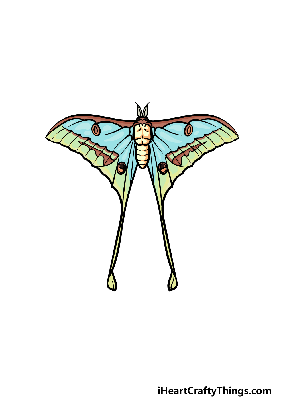 how to draw a Luna Moth step 6