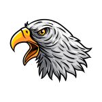how to draw an Eagle Head image