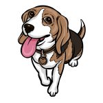 how to draw a Beagle image