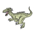 how to draw a Raptor image