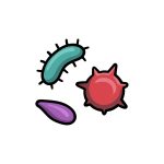 How to Draw Bacteria image