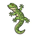 how to draw a Gecko image