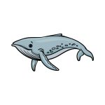 how to draw a Humpback Whale image