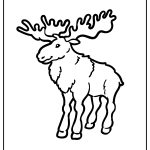 Forest Animals Coloring Pages free printable