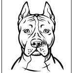 Pitbull Coloring Pages free printable