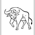 Bull Coloring Pages free printable