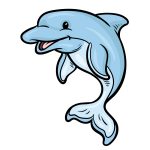 how to draw a cartoon dolphin image