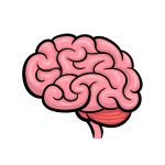 how to draw a cartoon brain image