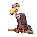 how to draw a cartoon vulture image