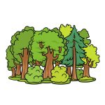 how to draw a cartoon forest image