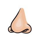 how to draw a cartoon nose image