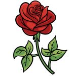 how to draw a cartoon rose image