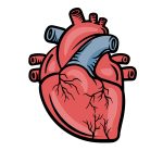 how to draw a cartoon heart image