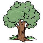 how to draw a cartoon tree image