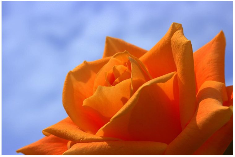 blue and orange makes what color