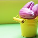 purple and yellow background