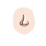 How to Draw An Anime Nose image