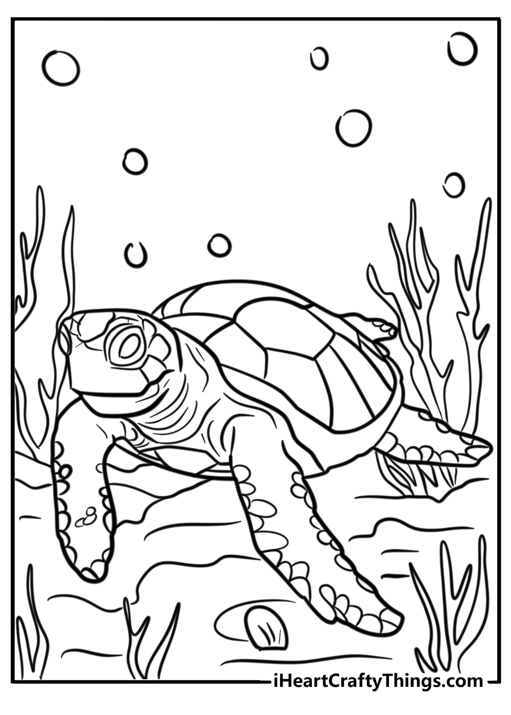 Sea turtle swimming on reef to color
