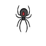 How to Draw A Black Widow image